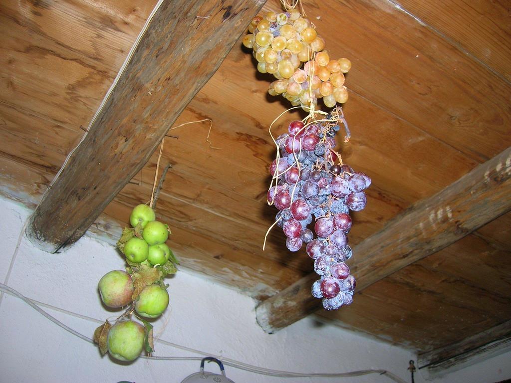 Serranello Azienda Agricola Apartment Bono  Luaran gambar